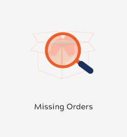 Magento 2 Missing Orders by Meetanshi