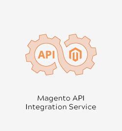 Magento API Integration Service by Meetanshi
